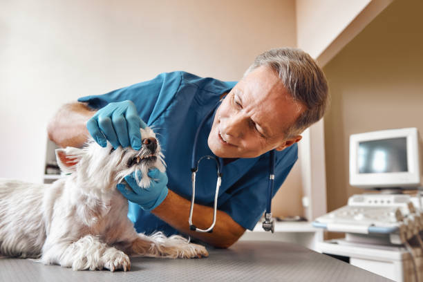 Best Emergency Tooth Extraction in San Juan, TX
